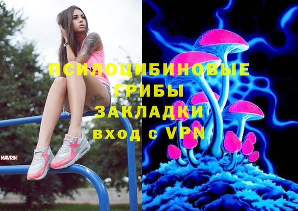 шишки Зеленодольск
