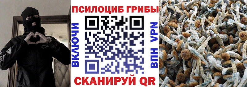 Псилоцибиновые грибы Psilocybine cubensis Великие Луки
